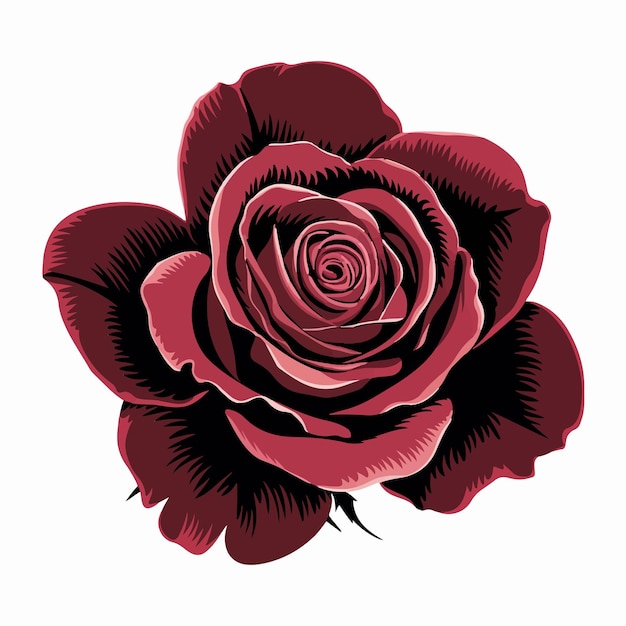 Vector red romantic rose flower isolated digital art on white background