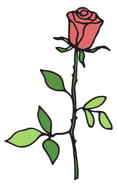 Red rose doodle Color hand drawn flower