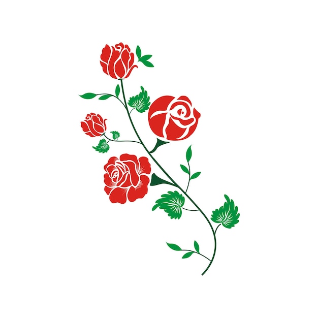 Red rose flower floral and green leaves vector illustration