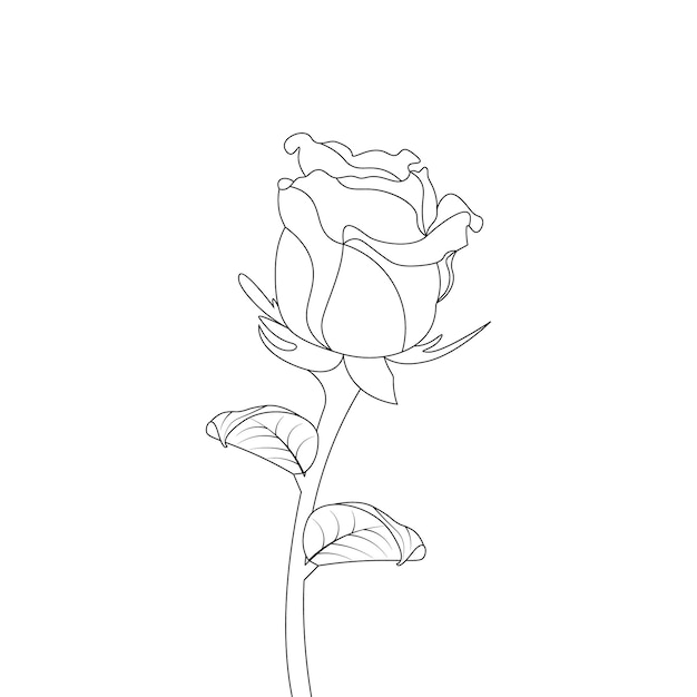 Red Rose Flowers Coloring Page Line art Sketch Drawing With Decorative Vector art Illustration