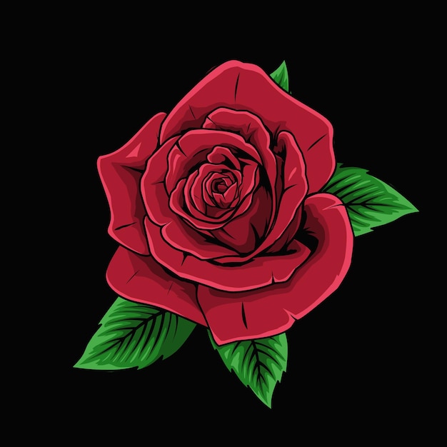 red rose illustration on a black background