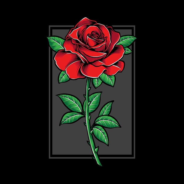 Red rose and illustration