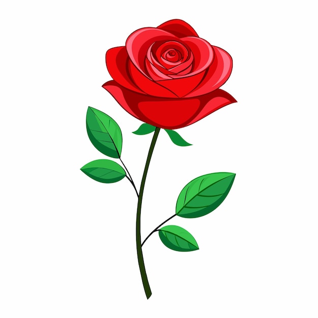 A Red rose vector art illustration 7