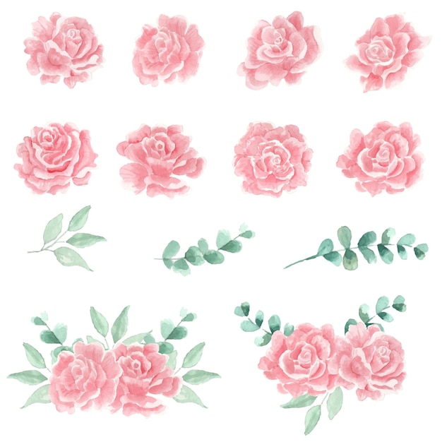 Red Rose Watercolor and Eucalyptus Leaves Clipart