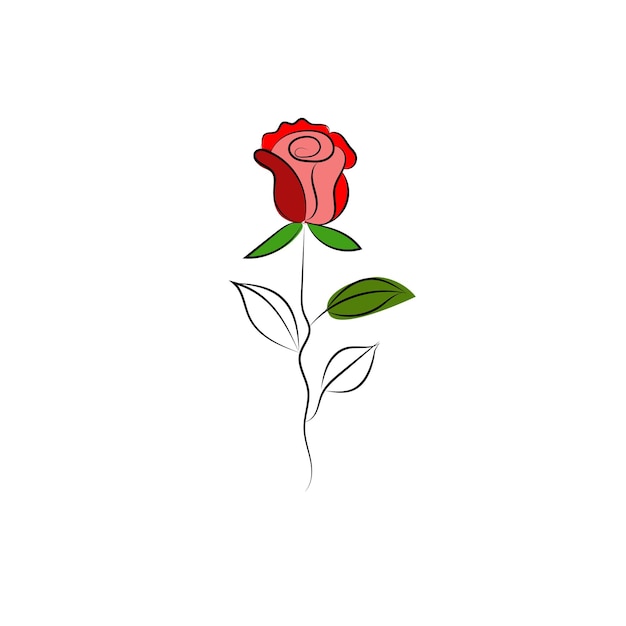 A red rose with green leaves on a white background.