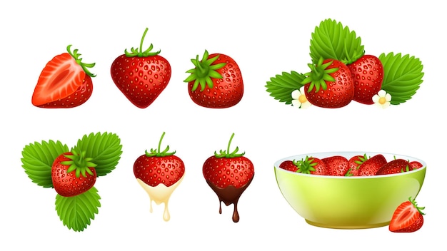 Red strawberry Realistic berries strawberries plants with leaf and flowers Fresh farm raw food in bowl isolated sweet vegan eco dessert product vector set