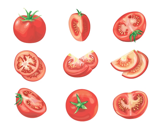 Red tomato set vector illustration Cut tomato tomato slice Cartoon vegetable set