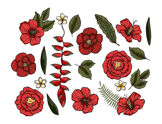 Red tropical flower vector set, beautiful rainforest blossom design