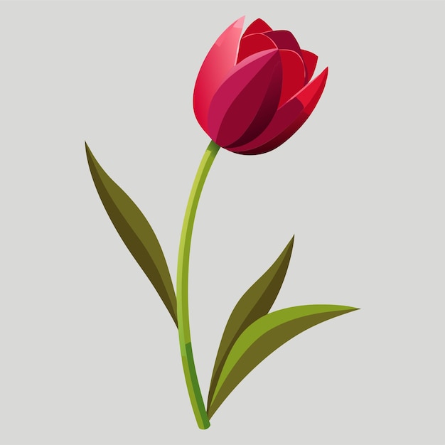 Vector a red tulip with a green stem and a red flower