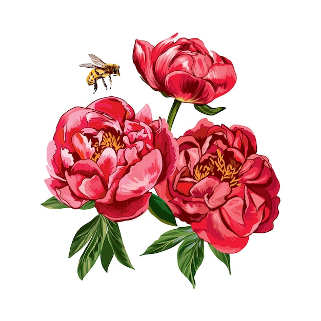 Red vector peonies with a flying bee