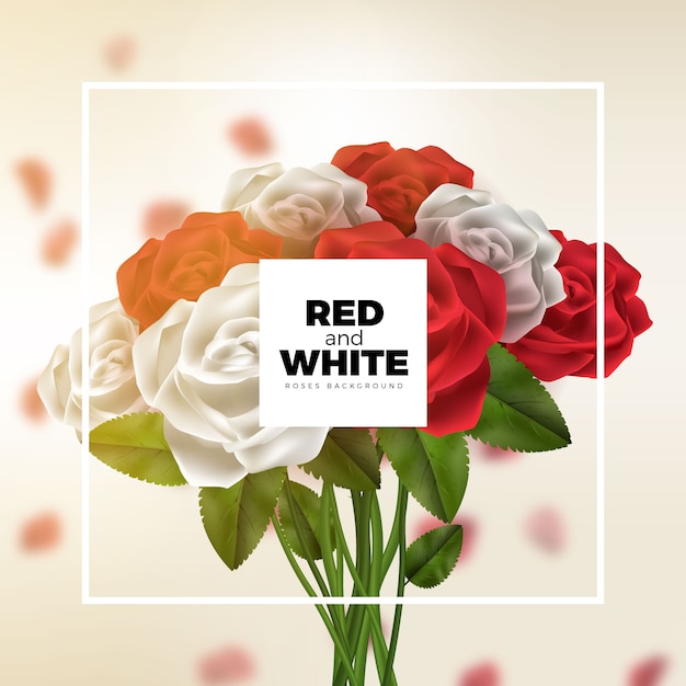 Vector red and white roses bouquet