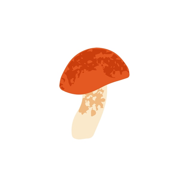 Redcapped scaber stalk mushroom Modern botanical drawing of edible fall fungus Autumn forest fungi Colored flat vector illustration isolated on white background