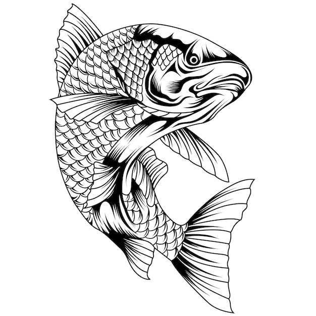 Redfish Fishing Logo Template Fresh and Unique Redfish aka Reddrum fish Jump out of the water