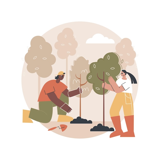 Reforestation illustration