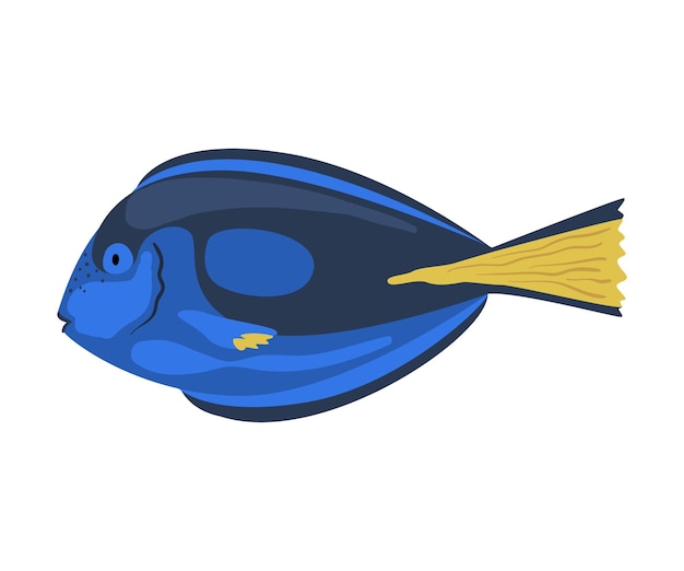 Vector regal tang fish marine life element sea or ocean creature vector illustration