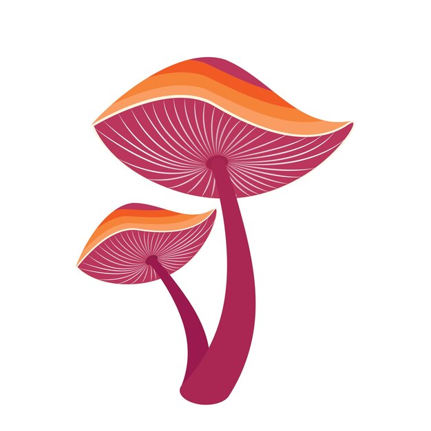 Vector reishi ganoderma lingzhi mushroom vector illustration