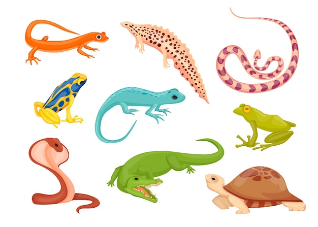 Reptile and amphibian species illustrations set