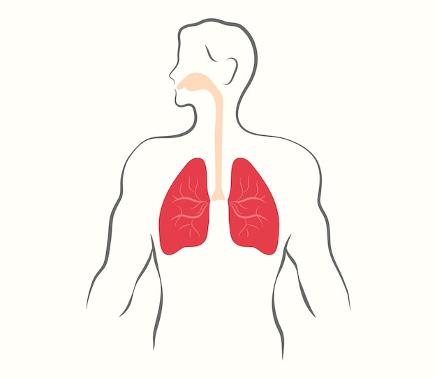 Respiratory system symbol. Human body with lungs, nose and mouth black vector icon.