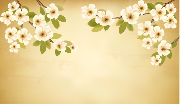 Retro background with blossoming tree brunch and white flowers. 