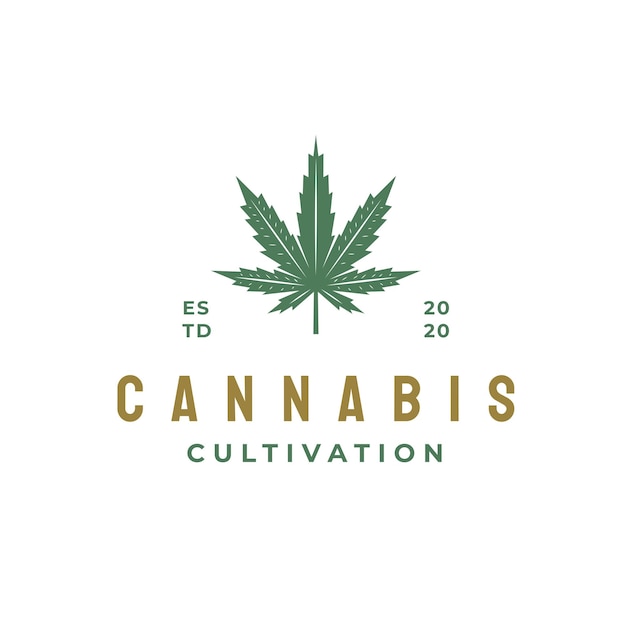 Retro Cannabis Leaf Logo Design