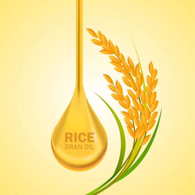 Rice great quality design concept   .