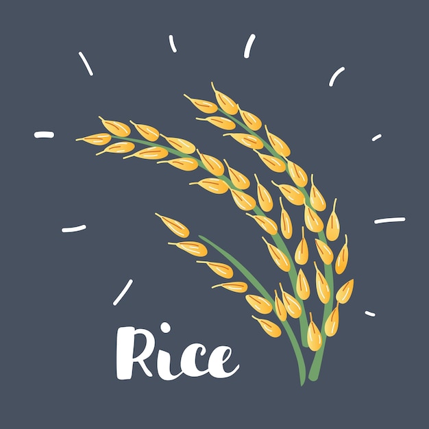 Rice icon on dark background