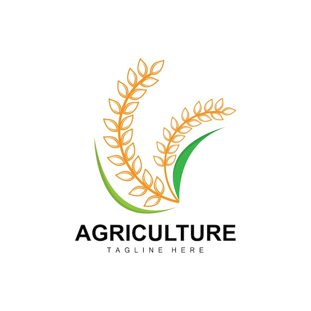 Rice Logo Agriculture Design Vector Wheat Rice Icon Template Illustration