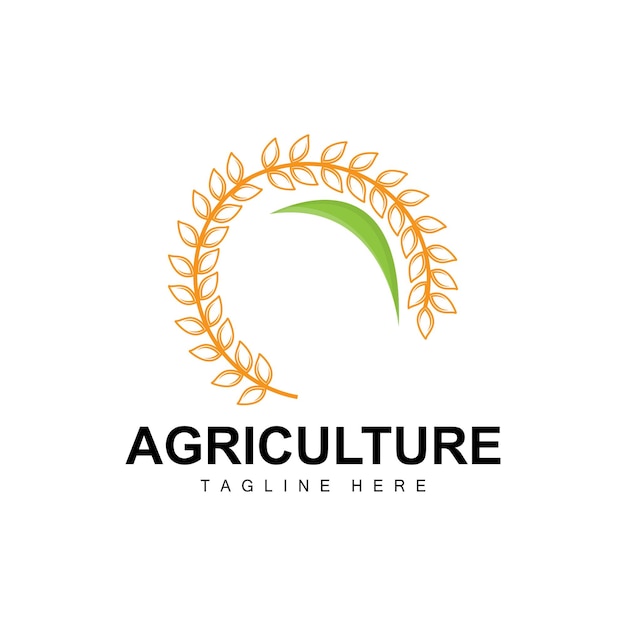 Rice Logo Agriculture Design Vector Wheat Rice Icon Template Illustration