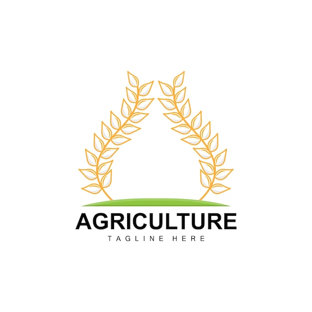 Rice Logo Agriculture Design Vector Wheat Rice Icon Template Illustration