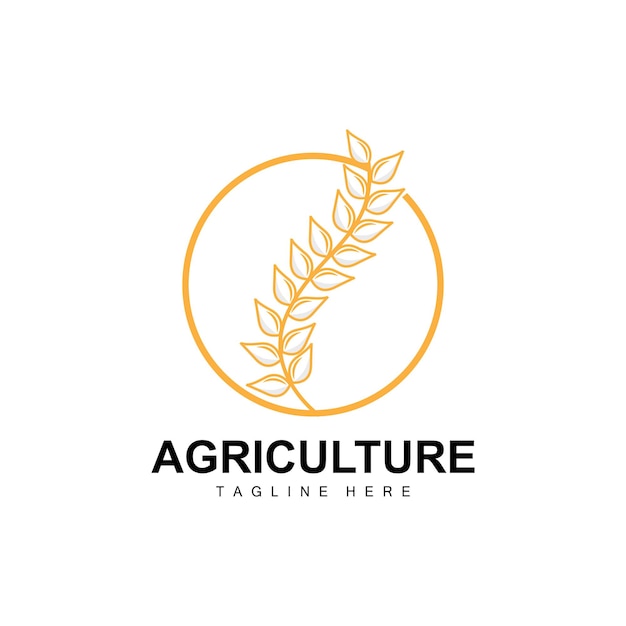 Rice Logo Agriculture Design Vector Wheat Rice Icon Template Illustration