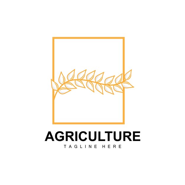 Rice Logo Agriculture Design Vector Wheat Rice Icon Template Illustration