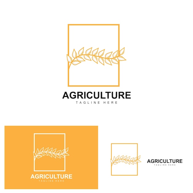 Rice Logo Agriculture Design Vector Wheat Rice Icon Template Illustration