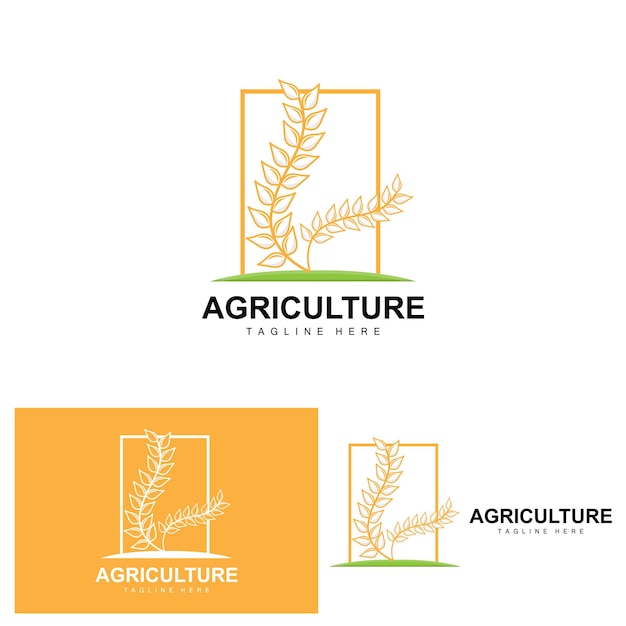 Rice Logo Agriculture Design Vector Wheat Rice Icon Template Illustration