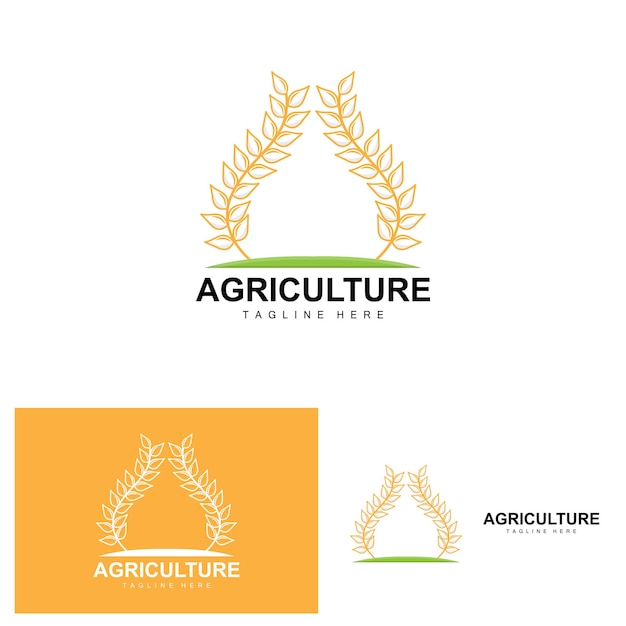 Rice Logo Agriculture Design Vector Wheat Rice Icon Template Illustration