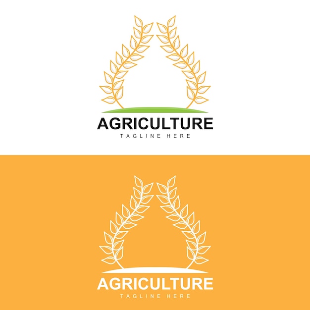 Rice Logo Agriculture Design Vector Wheat Rice Icon Template Illustration