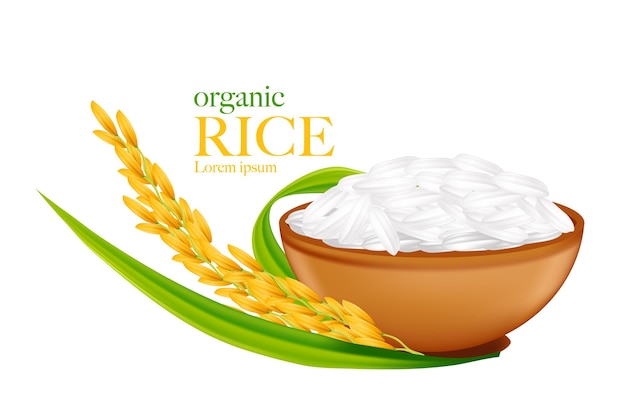 Rice realistic illustration