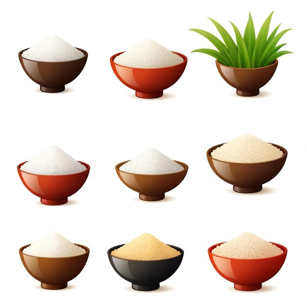 Vector rice vector set white background isolated a high quality