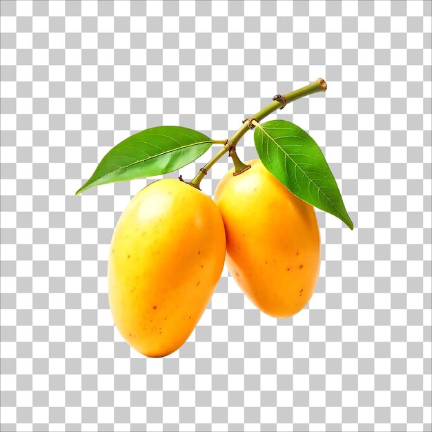 Vector ripe delicious cut mango slices png transparent background