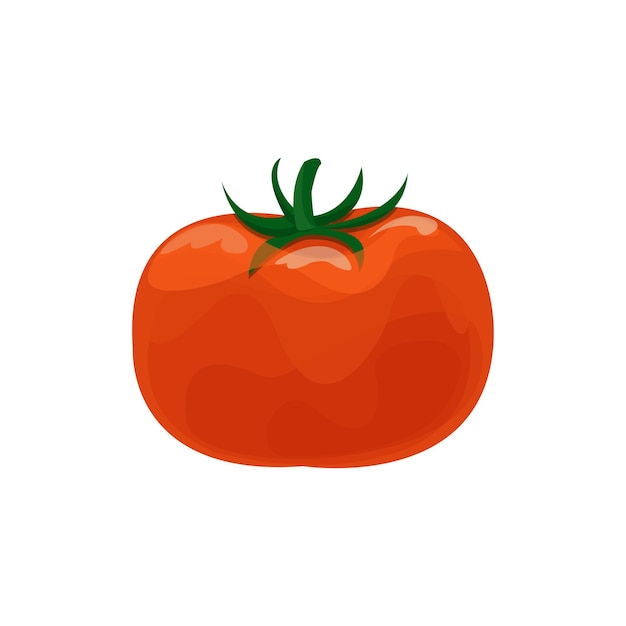 Ripe fresh tomato cartoon vector Illustration on a white background