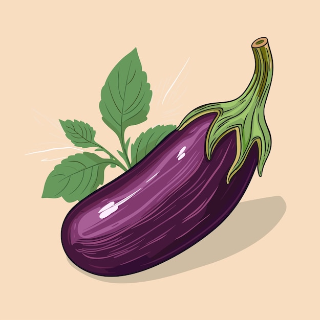 Ripe juicy eggplants vector illustration