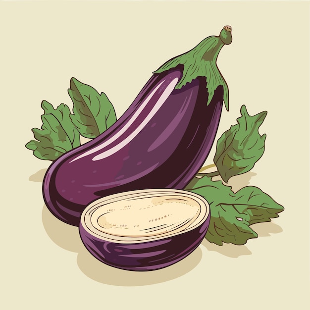 Ripe juicy eggplants vector illustration