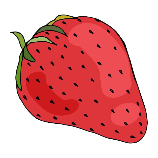 Ripe juicy strawberries Isolated vector illustration of natural vegetarian berry Hand drawn