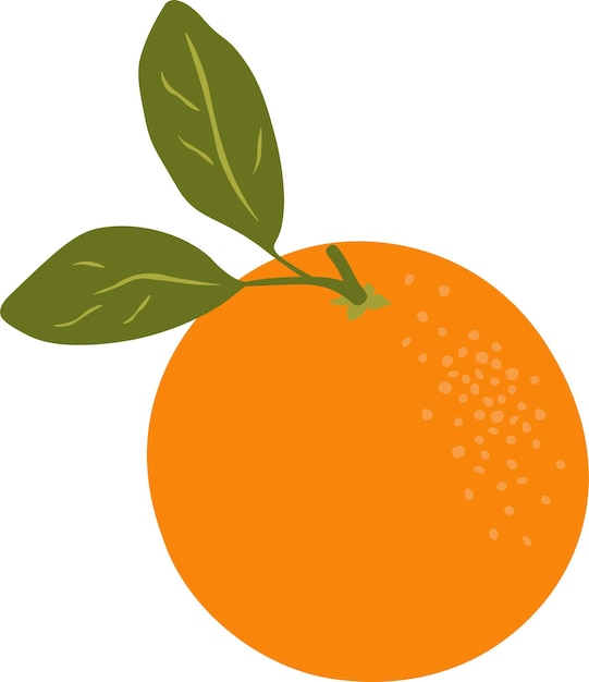 Ripe juicy sweet fresh orange on a white background Gold fruit Orange mandarin tangerin