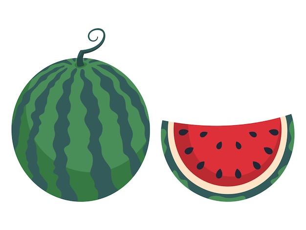 Ripe juicy watermelon isolated on a white background hand drawn illustration