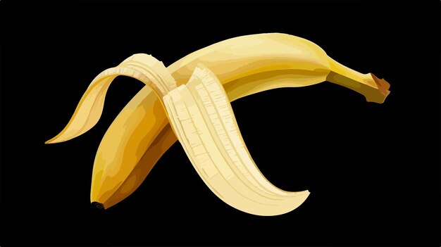 Vector ripe open banana on black background fresh one banana photo