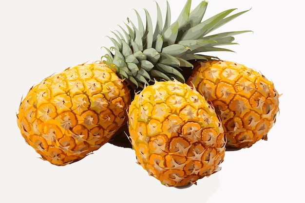 Ripe pineapple fruit isolated on white background