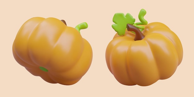 Ripe realistic pumpkin Autumn orange vegetable Set of vector objects