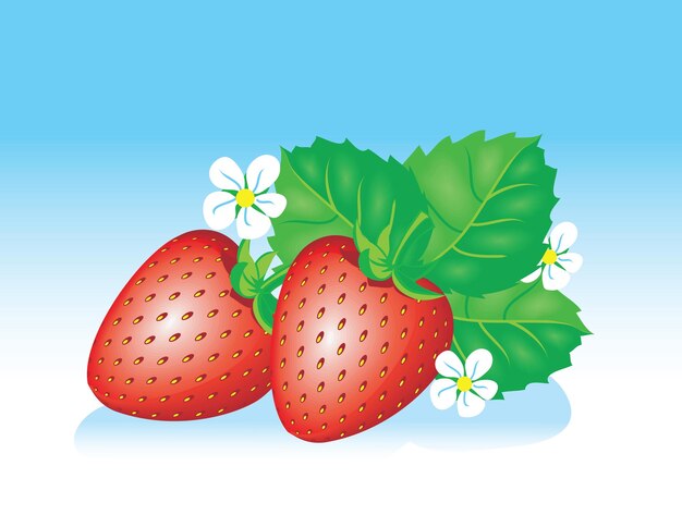 Ripe red cartoon strawberry with green leaves and white flowers