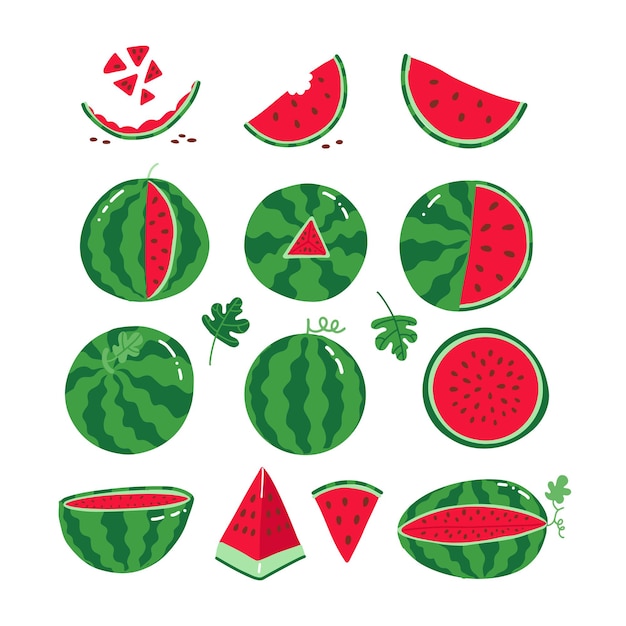 Ripe red watermelons whole and slices of watermelons collection set of juicy fruits for summer desig...