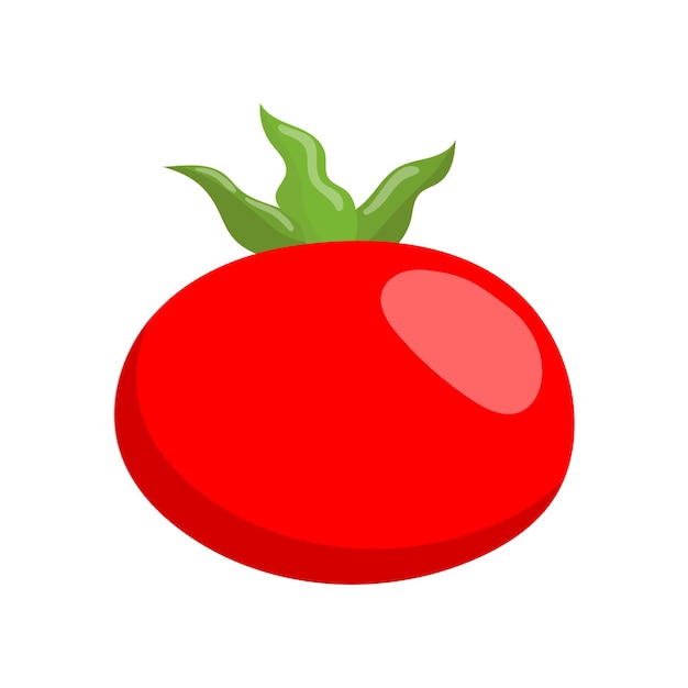 Ripe tomato vegetable cartoon vector Illustration on a white background